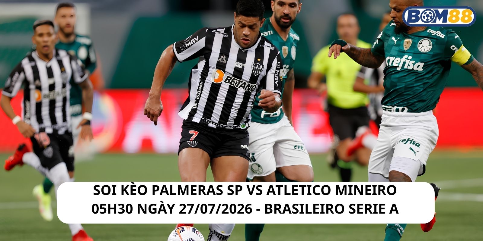 Đánh giá phong độ gần đây của Palmeras SP vs Atletico Mineiro