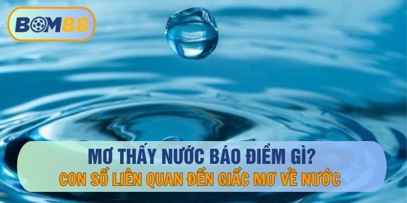 Giải mã giấc mơ tại BOM88 - Nằm mơ thấy nước là điềm gì ? BOM88