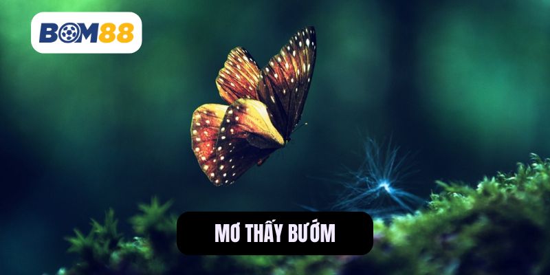 Mơ thấy bướm - Giải mã chi tiết và những con số may mắn BOM88