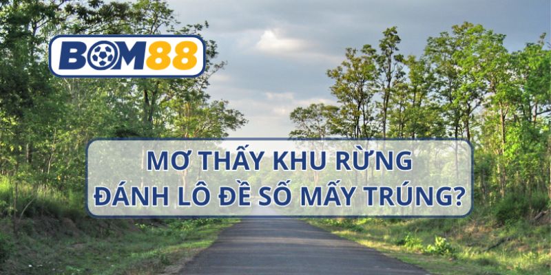Mơ thấy khu rừng thì nên đánh con nào ? Giải mã giấc mơ cùng Bom88 BOM88