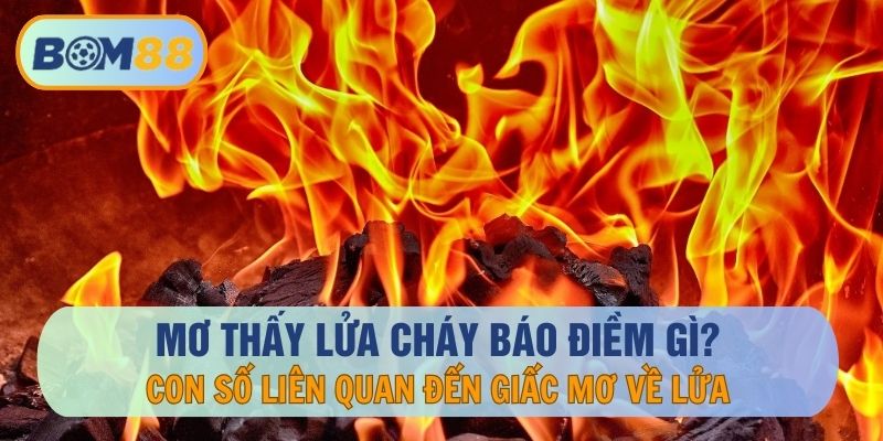 Mơ thấy lửa cháy tốt hay xấu? Đánh con gì khi mơ thấy lửa tại nhà cái BOM88 ? BOM88