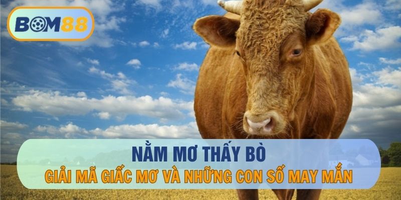 Nằm Mơ Thấy Bò Nên Đánh Con Nào Dễ Thắng ? - Giải Mã Giấc Mơ Tại BOM88 BOM88