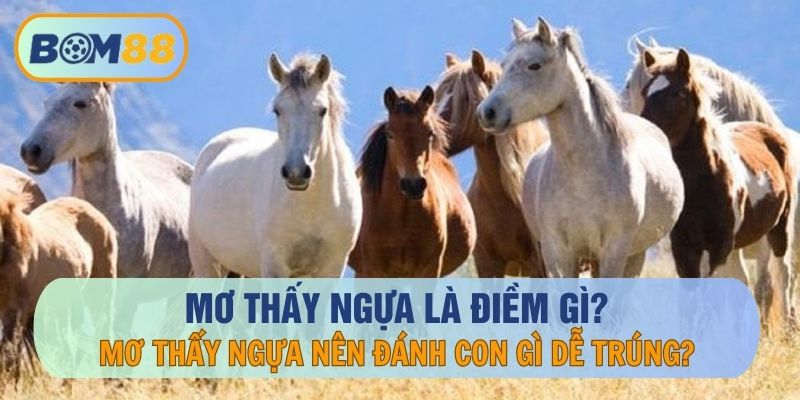 Giải mã giấc mơ - nằm mơ thấy ngựa đánh con gì dễ trúng tại BOM88 ? BOM88