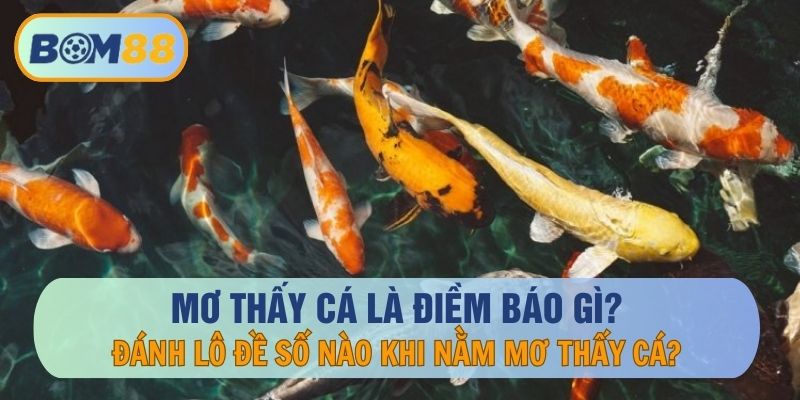 Mơ thấy cá là hên hay là xui? - Giải Mã Giấc Mơ BOM88 BOM88
