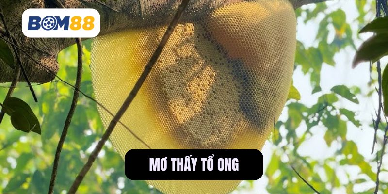 Mơ Thấy Tổ Ong - Biểu Tượng Của Sự May Mắn Hay Biến Động? BOM88