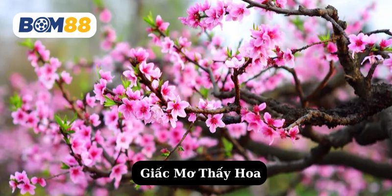 Mơ thấy hoa đánh con gì dễ trúng lô ? Giải mã giấc mơ cùng Bom88 BOM88