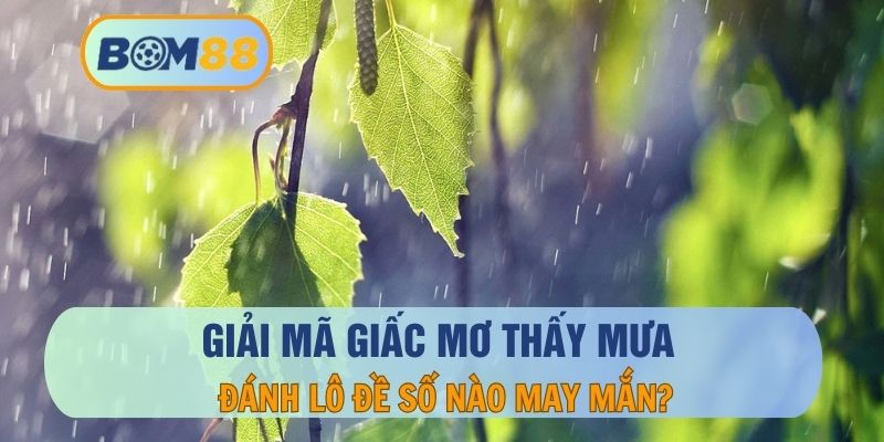 Giải mã giấc mơ thấy mưa và những điềm báo tốt gở chi tiết cùng BOM88 BOM88