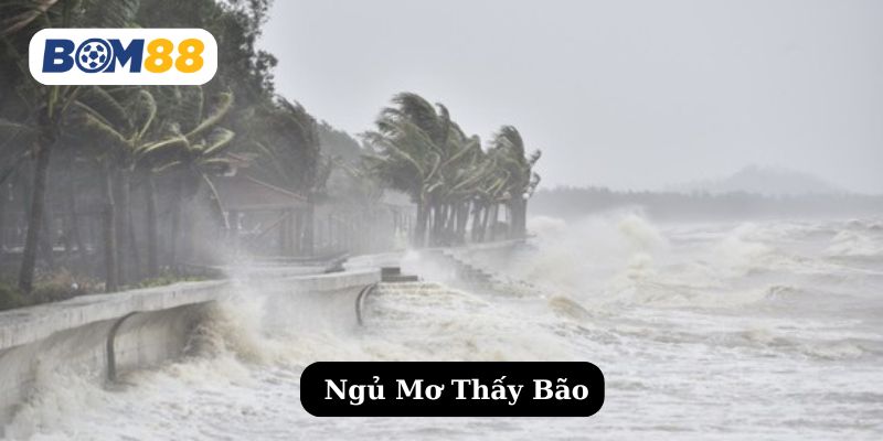 Nằm Mơ Thấy Bão - Tín Hiệu Của Sự Bình Yên Hay Thay Đổi Lớn? BOM88
