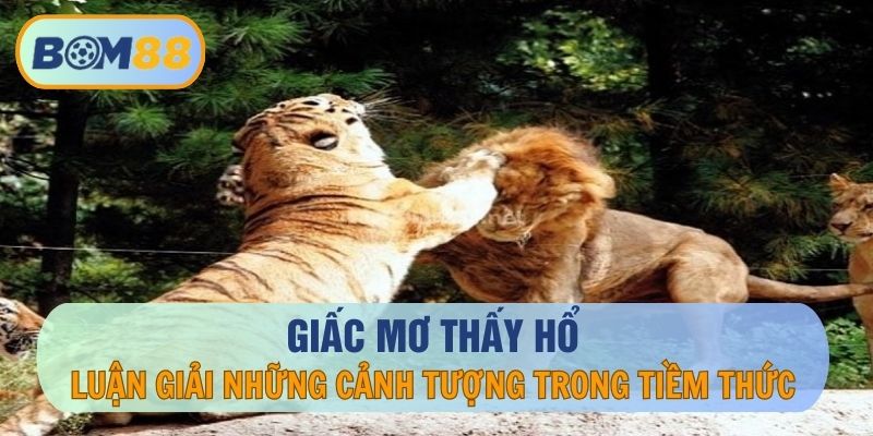 Giấc mơ thấy hổ - Luận giải những cảnh tượng trong tiềm thức tại nhà cái BOM88 BOM88