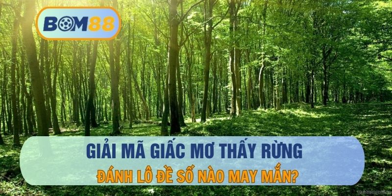 Giải mã giấc mơ thấy rừng - Truy tìm các con số may mắn tại BOM88 BOM88